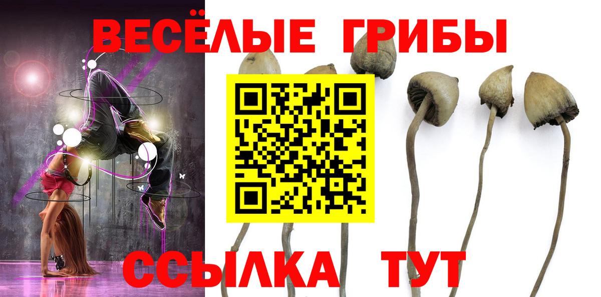 Псилоцибиновые грибы ЛСД Белово